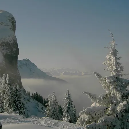 아파트 Hauser 웨이드링