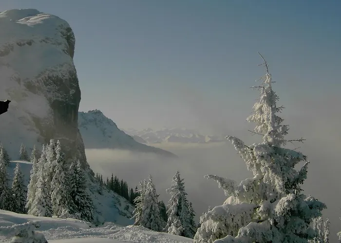 Appartamento Hauser Waidring