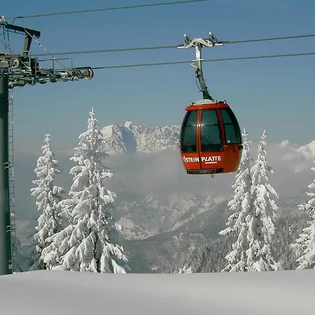 Hauser Вайдринг